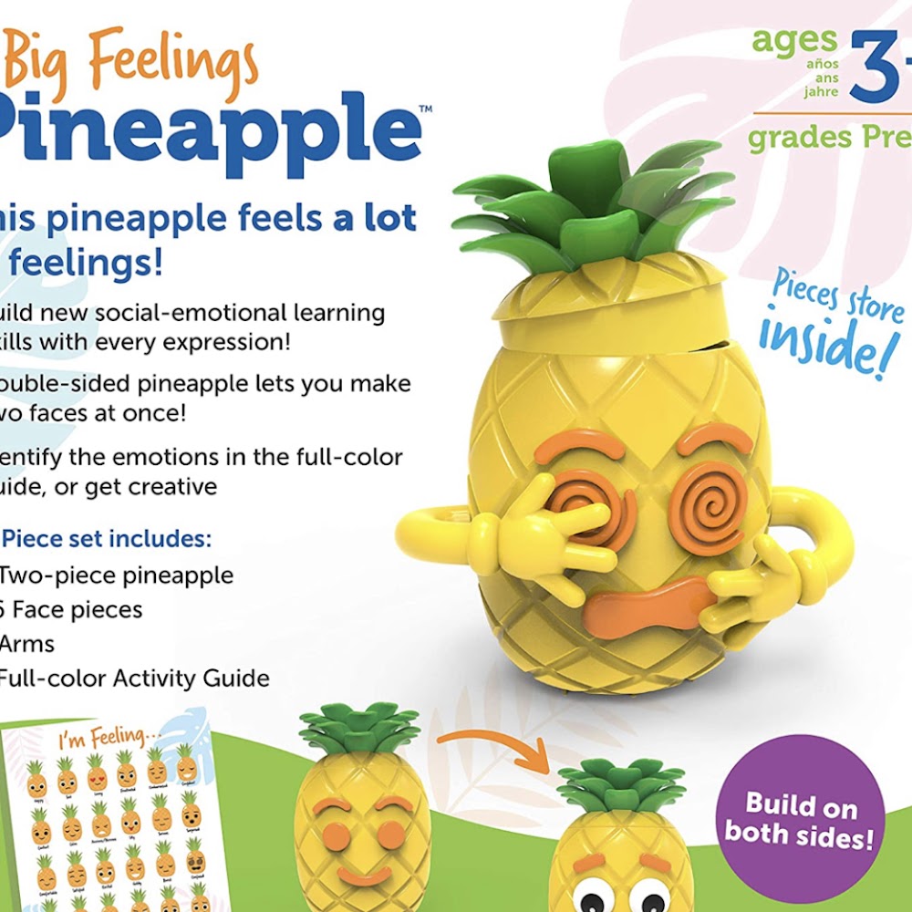 Big Feelings Pineapple