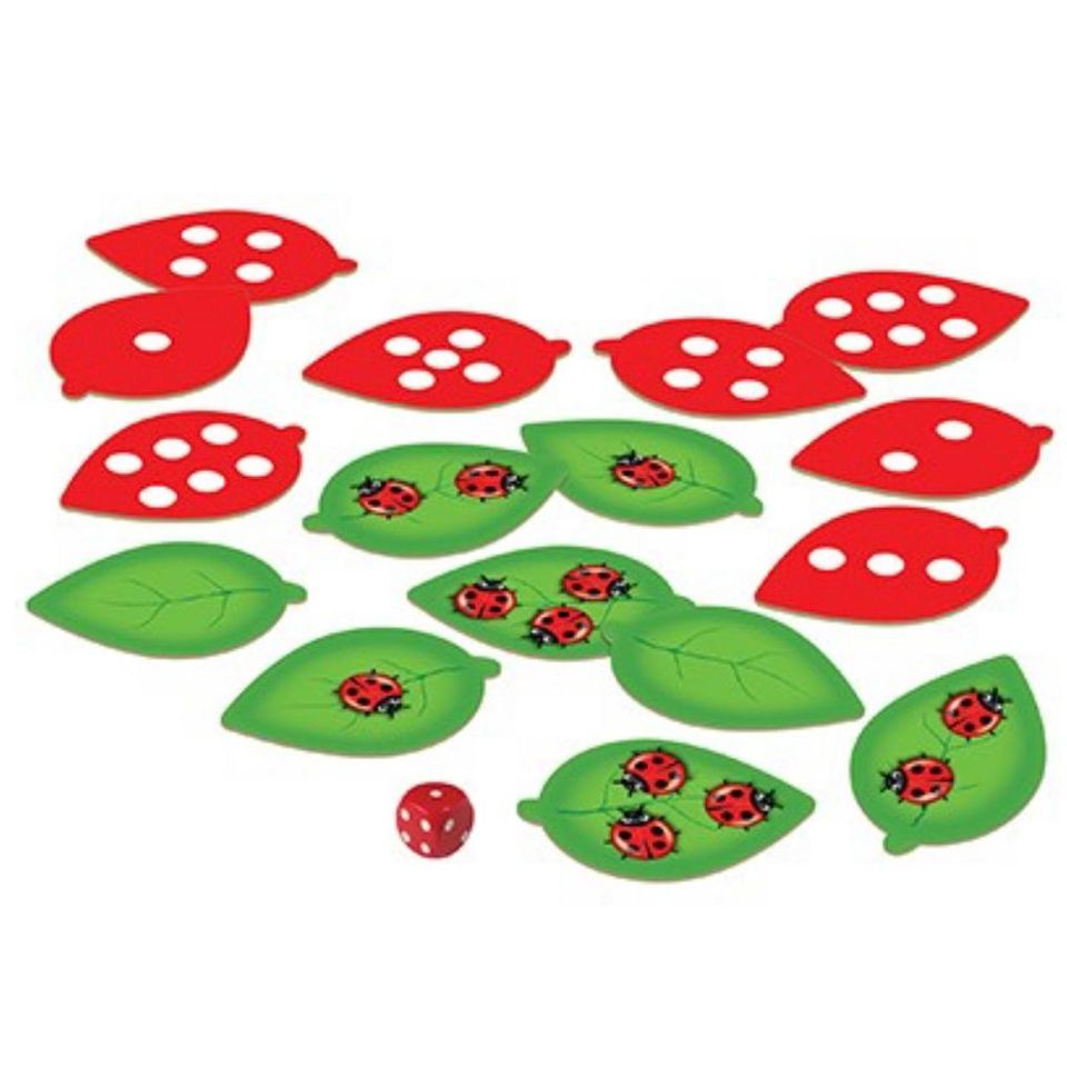 The Game of Ladybirds 甲蟲數數遊戲
