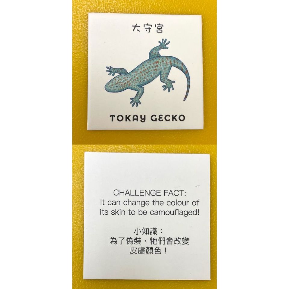 Hong Kong Wildlife Bingo Bilingual Edition