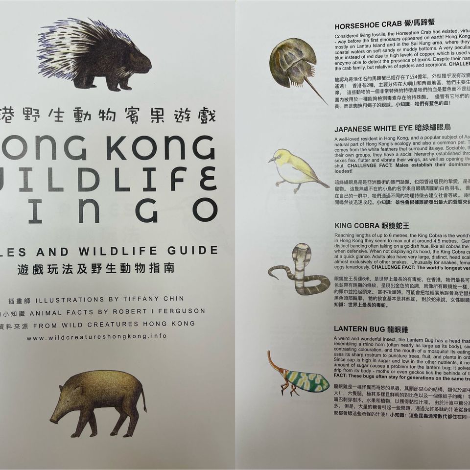 Hong Kong Wildlife Bingo Bilingual Edition