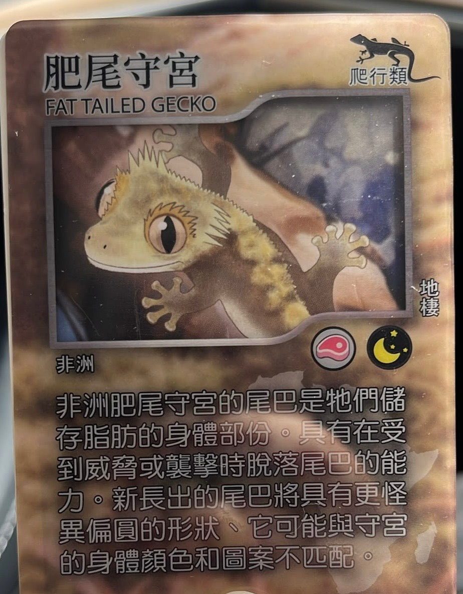 奇異動物園
